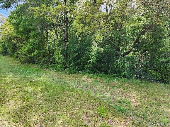 0.29 Acres of Residential Land for Sale in Citrus Springs, Florida