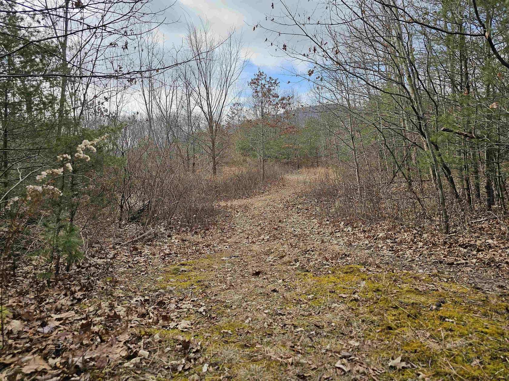 4.1 Acres of Residential Land for Sale in Palenville, New York