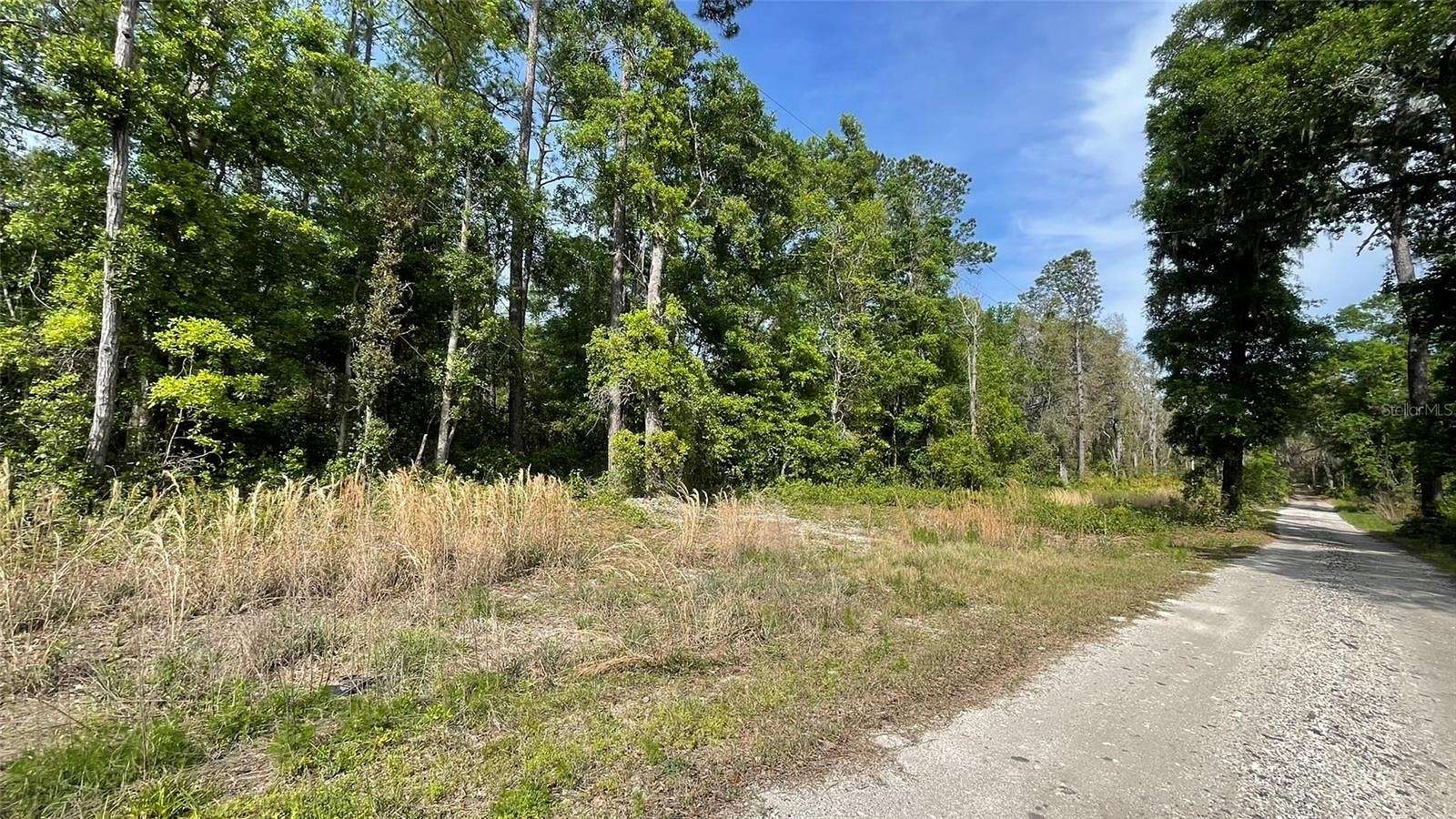 9.9 Acres of Residential Land for Sale in Florahome, Florida