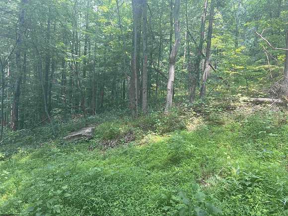 31.8 Acres of Land for Sale in Wallace, West Virginia