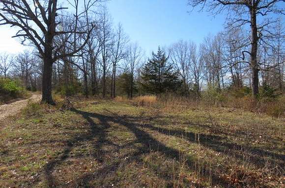 6 Acres of Land for Sale in Seymour, Missouri