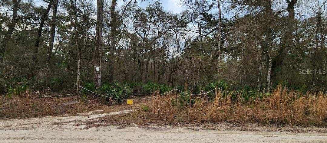 5 Acres of Residential Land for Sale in Bell, Florida