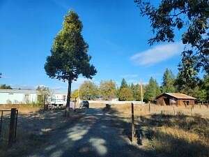 11 Acres of Land for Sale in Selma, Oregon