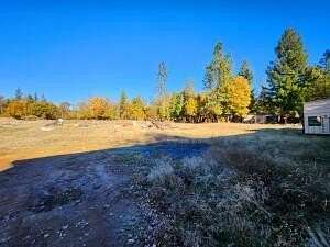 11 Acres of Land for Sale in Selma, Oregon