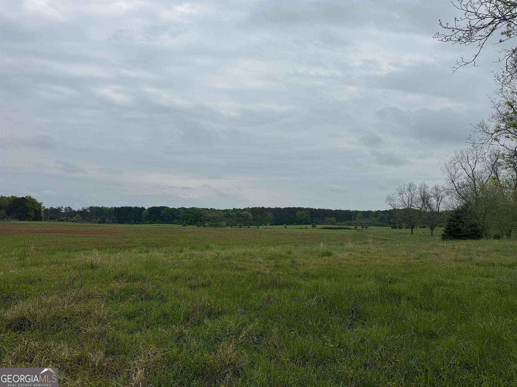 6.5 Acres of Residential Land for Sale in Williamson, Georgia