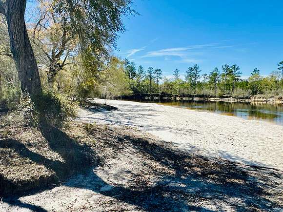 246 Acres of Recreational Land for Sale in Lakeland, Georgia