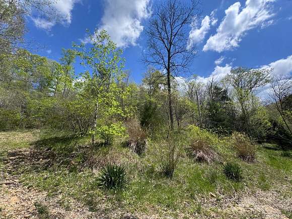 0.85 Acres of Land for Sale in Slade, Kentucky