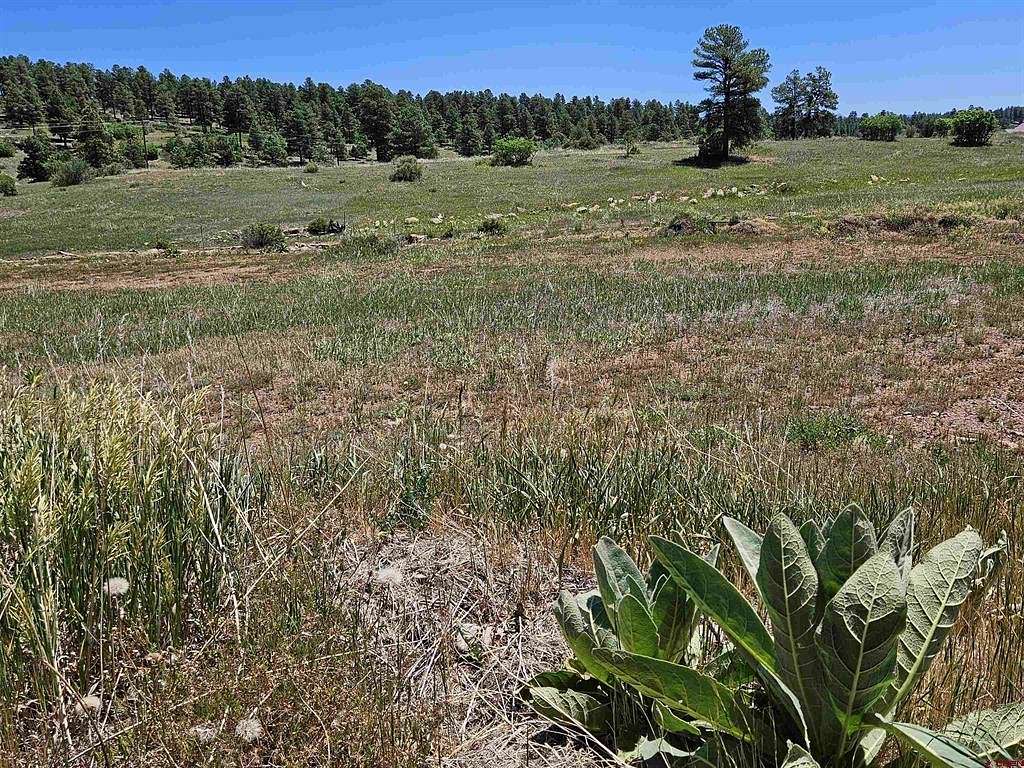 0.1 Acres of Residential Land for Sale in Pagosa Springs, Colorado