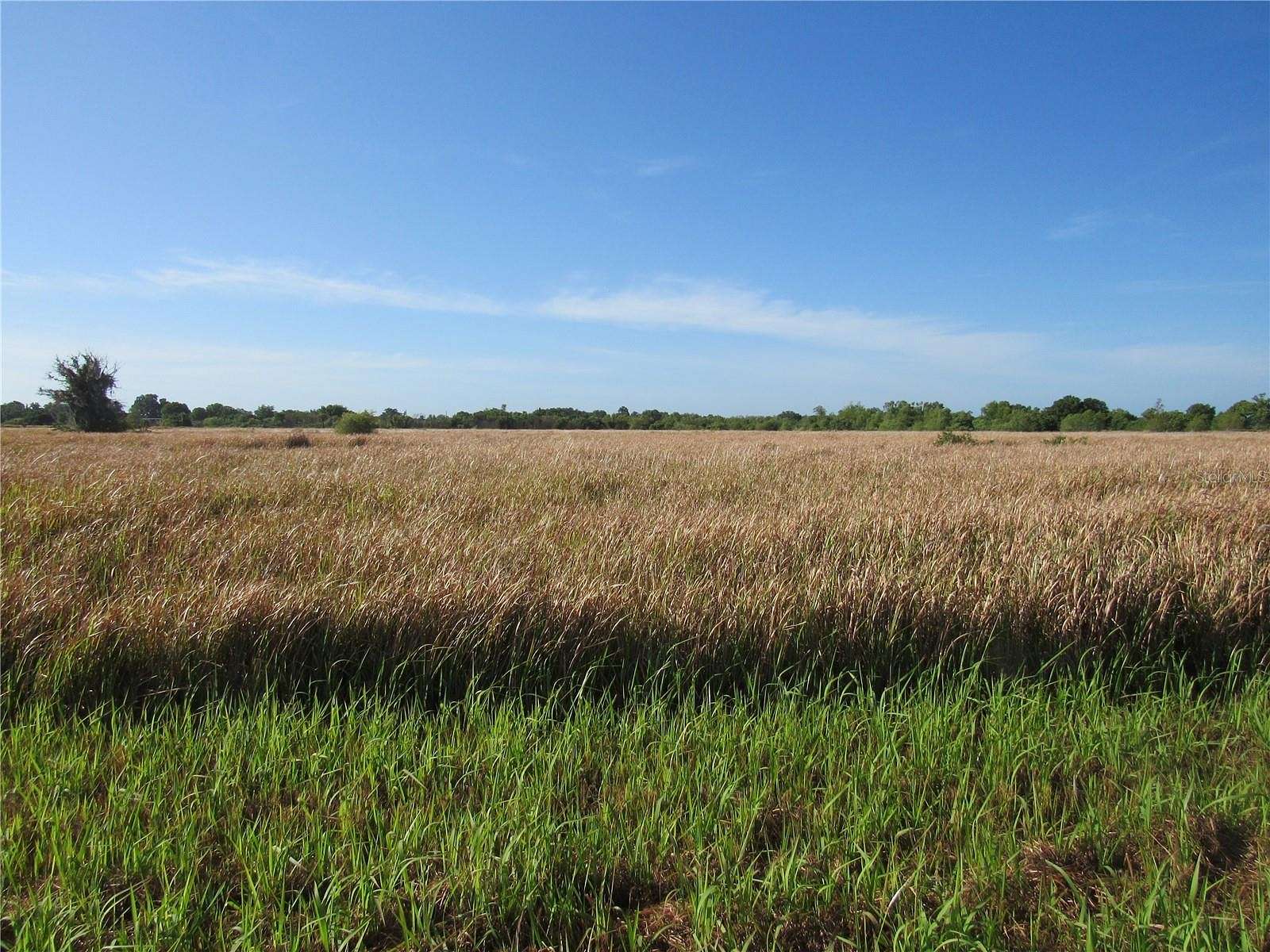 20 Acres of Land for Sale in Wauchula, Florida