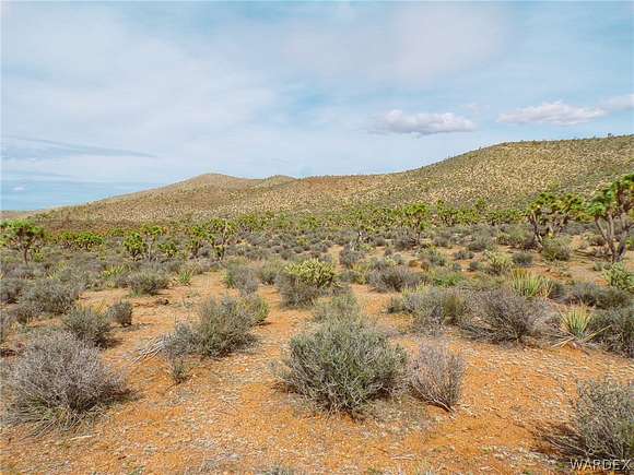 80 Acres of Land for Sale in White Hills, Arizona