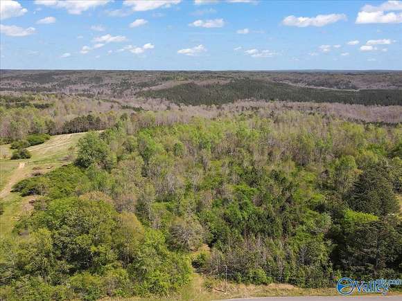 42 Acres of Recreational Land for Sale in Cullman, Alabama