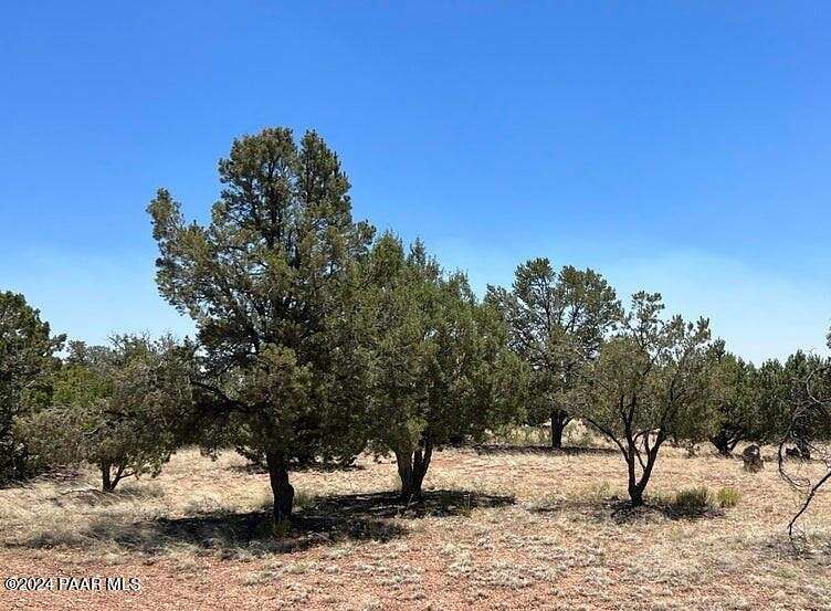 39.5 Acres of Recreational Land for Sale in Seligman, Arizona
