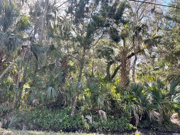 1.3 Acres of Residential Land for Sale in Mims, Florida