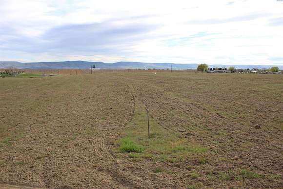 28.2 Acres of Agricultural Land for Sale in Prosser, Washington