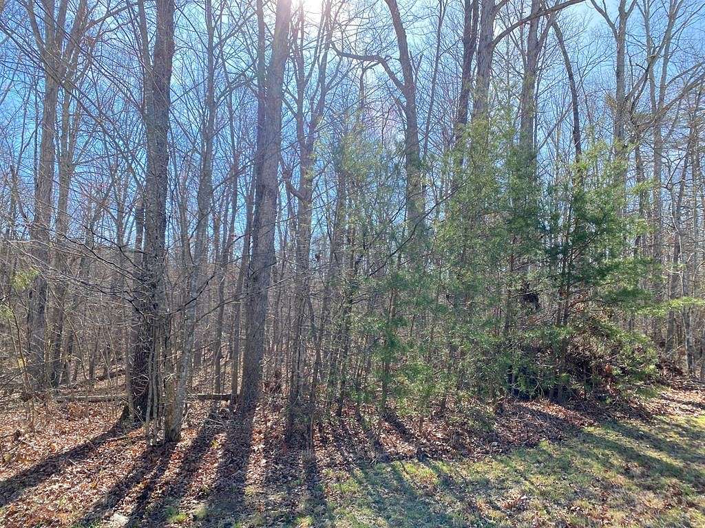 4.4 Acres of Residential Land for Sale in Spencer, Tennessee