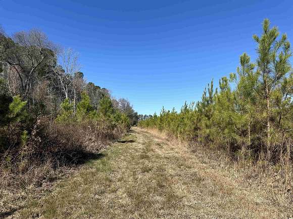 35.1 Acres of Recreational Land for Sale in Greeleyville, South Carolina