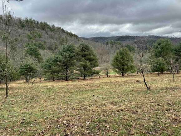 7 Acres of Recreational Land for Sale in Bolivar, New York