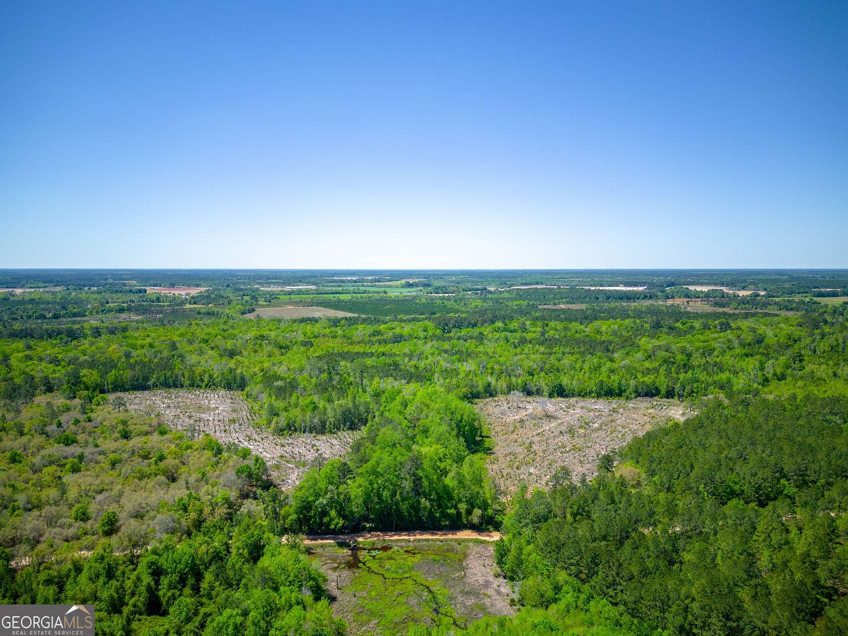 125 Acres of Recreational Land for Sale in Bristol, Georgia