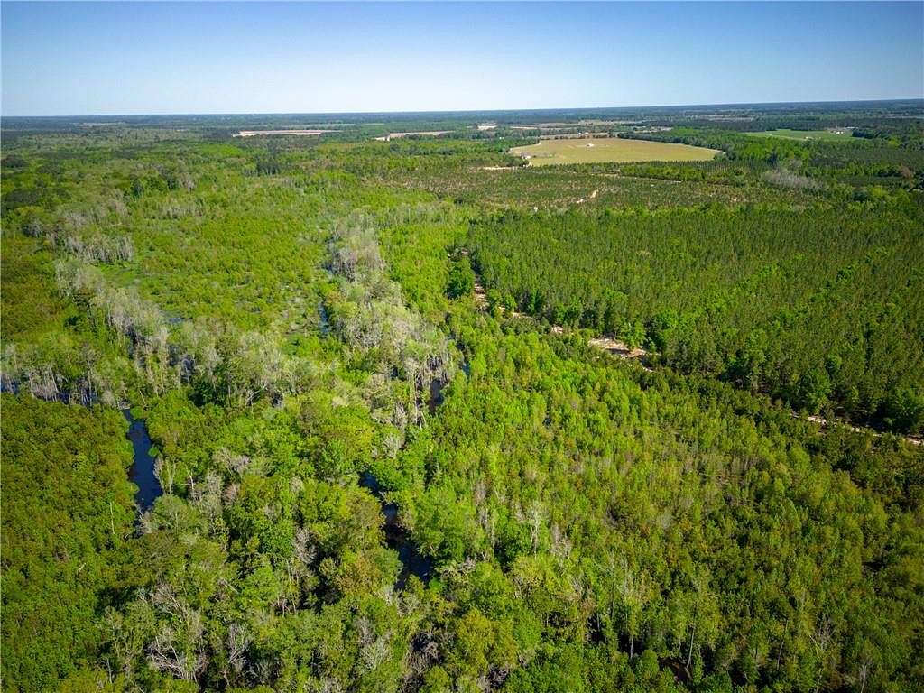 329 Acres of Land for Sale in Bristol, Georgia