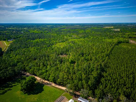 191 Acres of Recreational Land & Farm for Sale in Jesup, Georgia