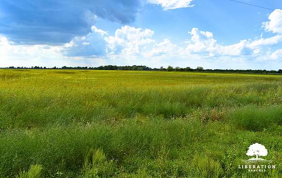 13.7 Acres of Land for Sale in Garwood, Texas