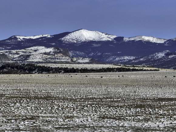 538 Acres of Land for Sale in Milan, New Mexico - LandSearch