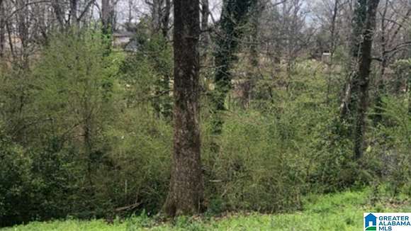 0.44 Acres of Residential Land for Sale in Birmingham, Alabama