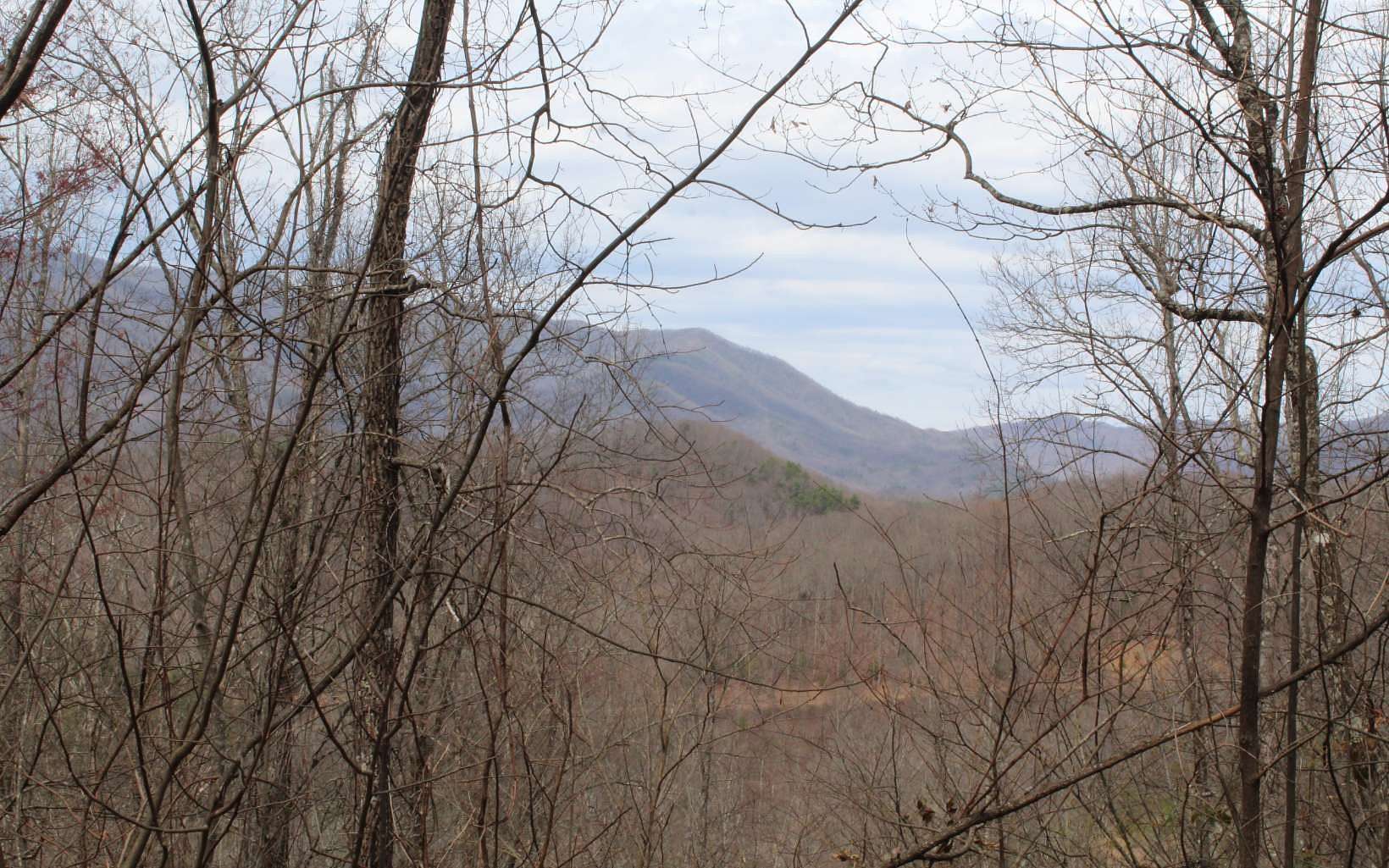2.42 Acres of Land for Sale in Hayesville, North Carolina