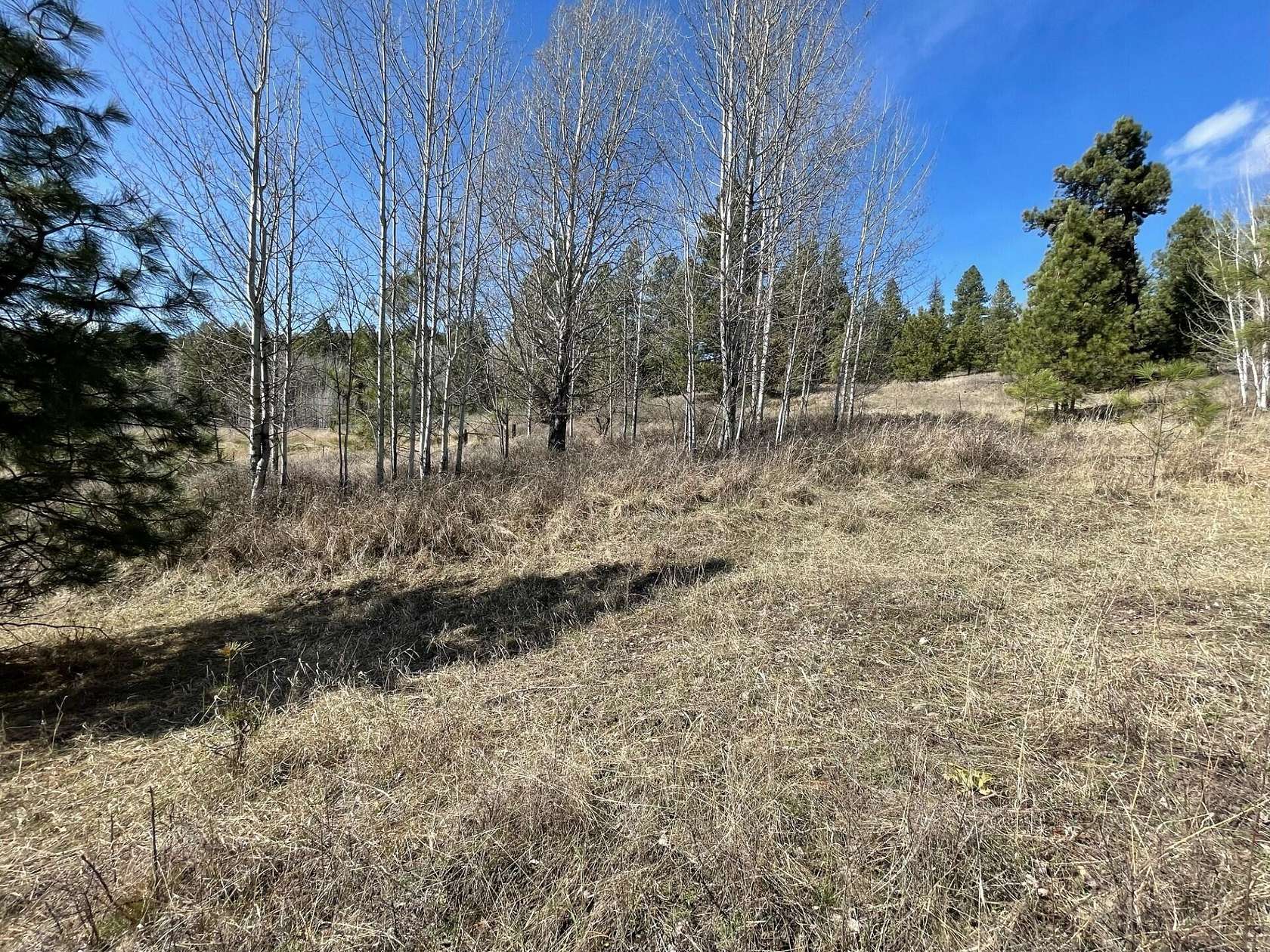 1 Acre of Land for Sale in Republic, Washington