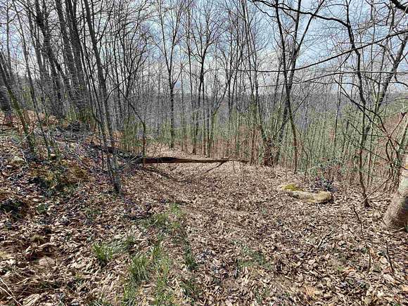 150 Acres of Recreational Land for Sale in Kiahsville, West Virginia