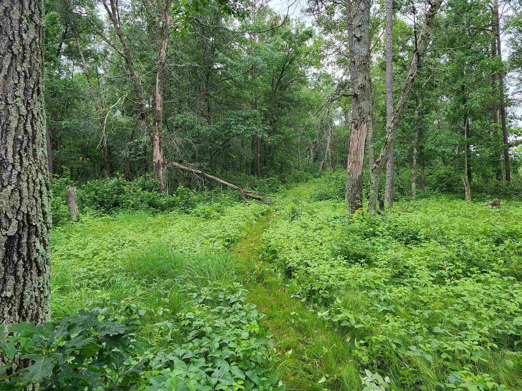 19.91 Acres of Recreational Land for Sale in Grantsburg, Wisconsin