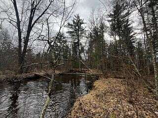 5.2 Acres of Land for Sale in Baldwin, Michigan