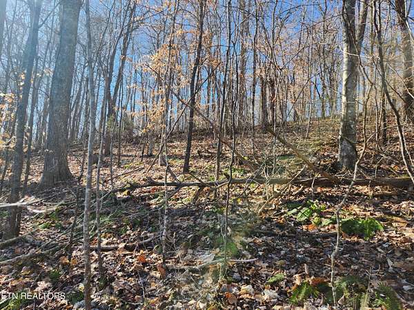 1.2 Acres of Land for Sale in La Follette, Tennessee