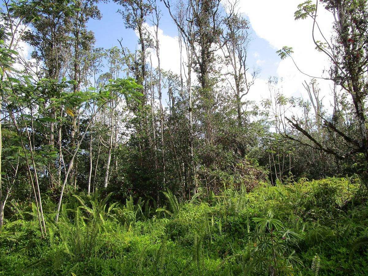 0.35 Acres of Land for Sale in Pahoa, Hawaii