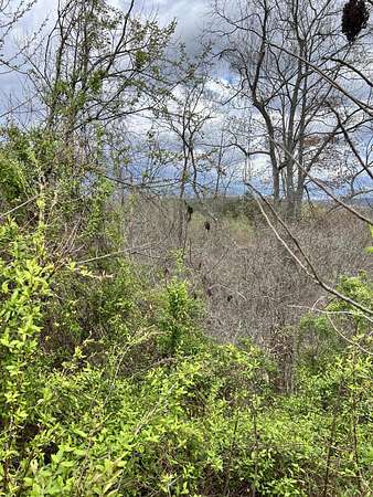 17.4 Acres of Recreational Land for Sale in Booneville, Kentucky