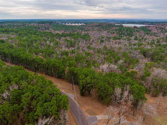 23.8 Acres of Recreational Land for Sale in Mineola, Texas