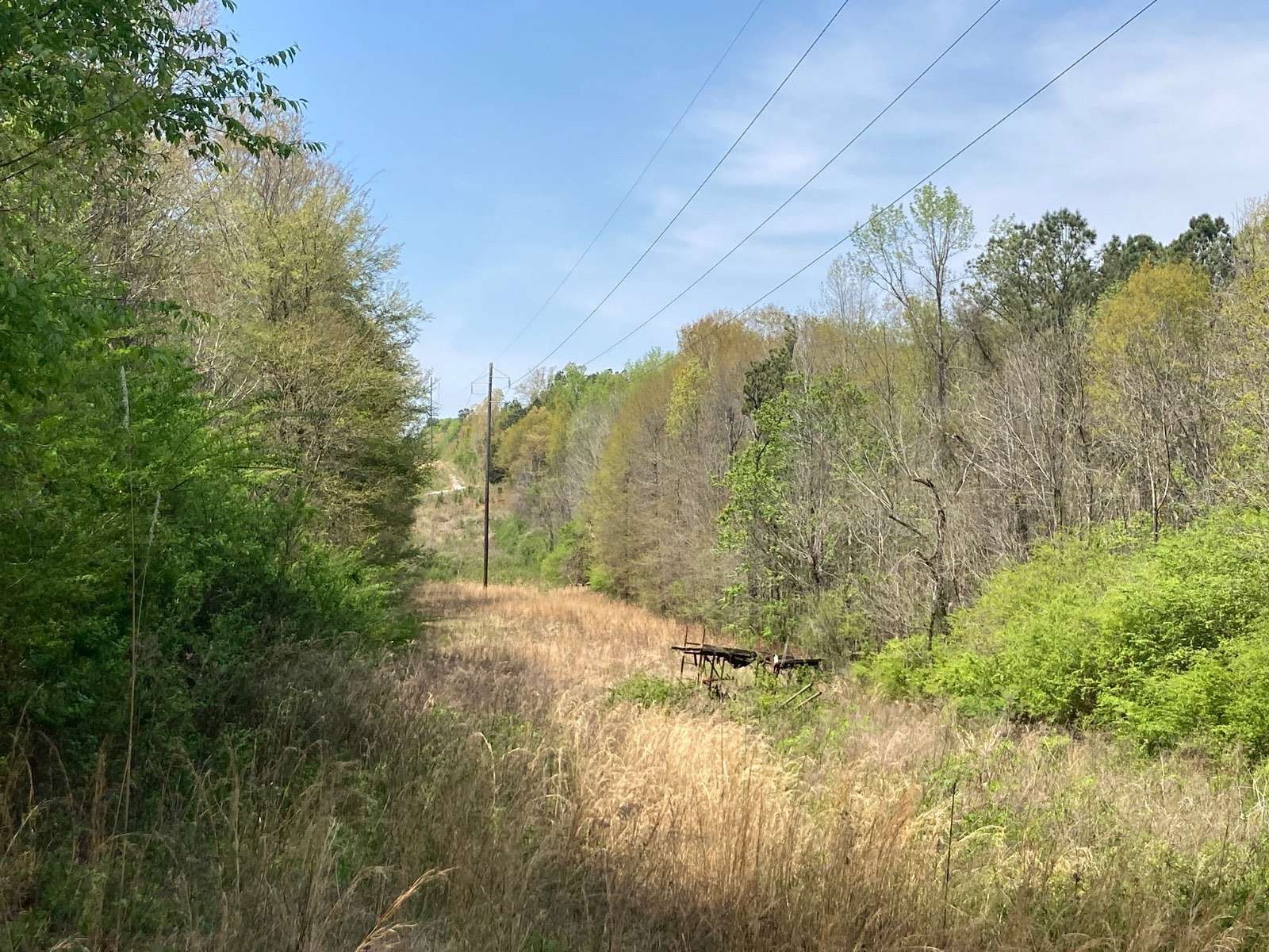 21 Acres of Land for Sale in Weaver, Alabama