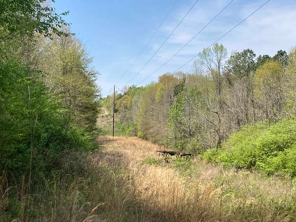21 Acres of Land for Sale in Weaver, Alabama