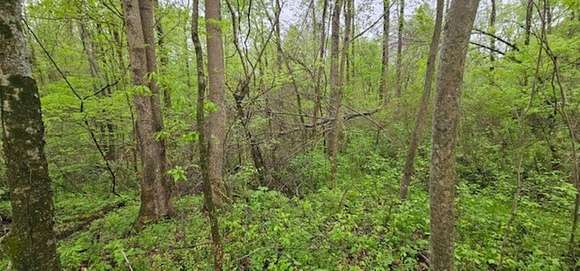 4 Acres of Land for Sale in Millington, Tennessee