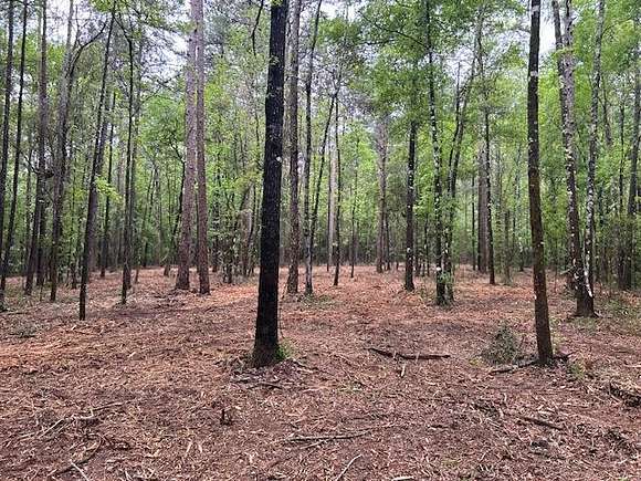 18.3 Acres of Land for Sale in Foxworth, Mississippi