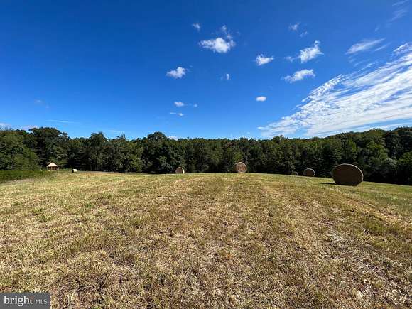 41.2 Acres of Agricultural Land for Sale in Culpeper, Virginia