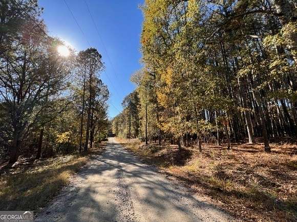 25 Acres of Land for Sale in Loganville, Georgia