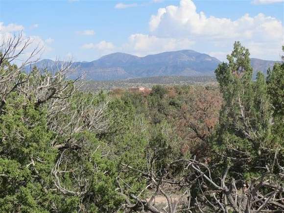 5 Acres of Land for Sale in Sandia Park, New Mexico