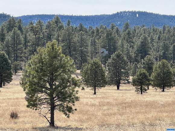 80 Acres of Land for Sale in Datil, New Mexico