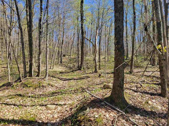 25 Acres of Recreational Land for Sale in Underhill, Vermont