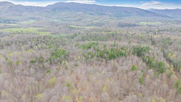 38.3 Acres of Recreational Land for Sale in Buchanan, Virginia