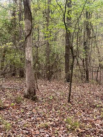 6.7 Acres of Residential Land for Sale in Soddy-Daisy, Tennessee