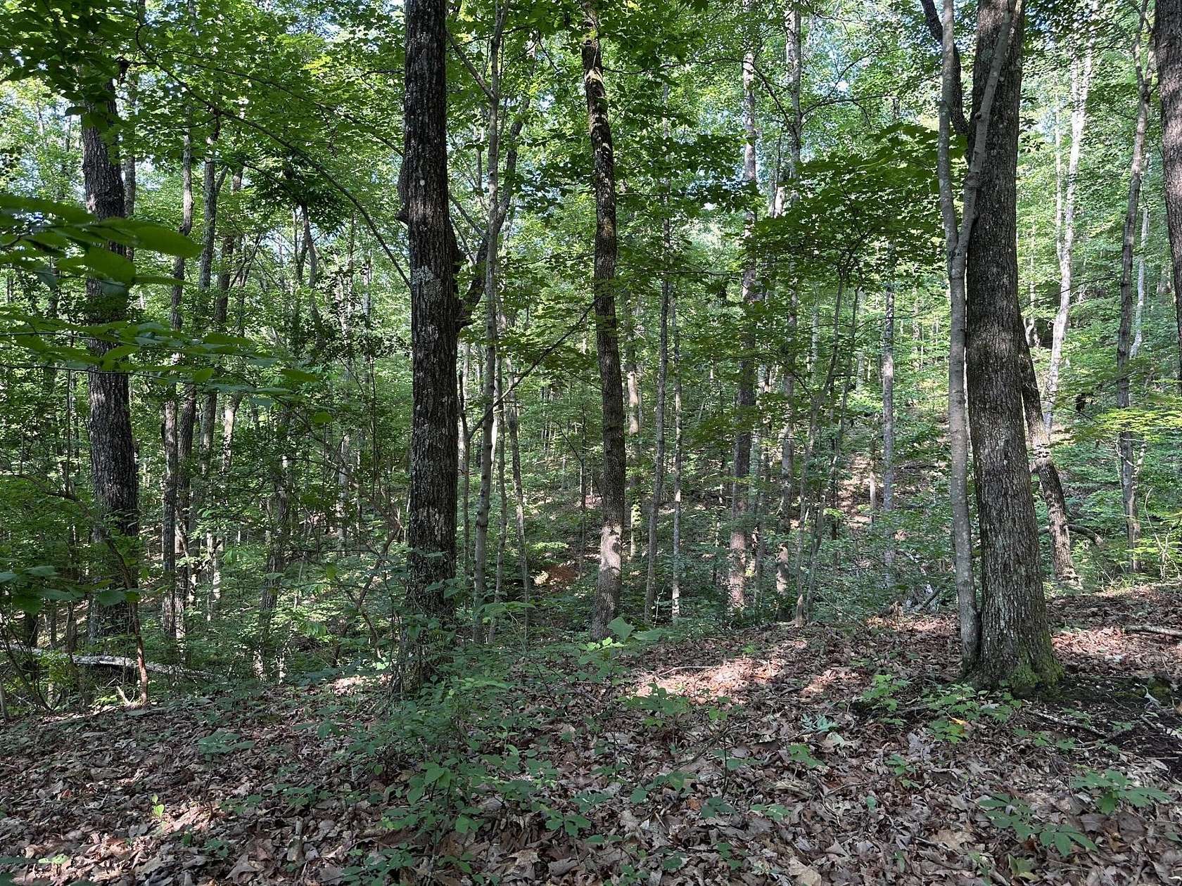 68 Acres of Recreational Land for Sale in Chattanooga, Tennessee