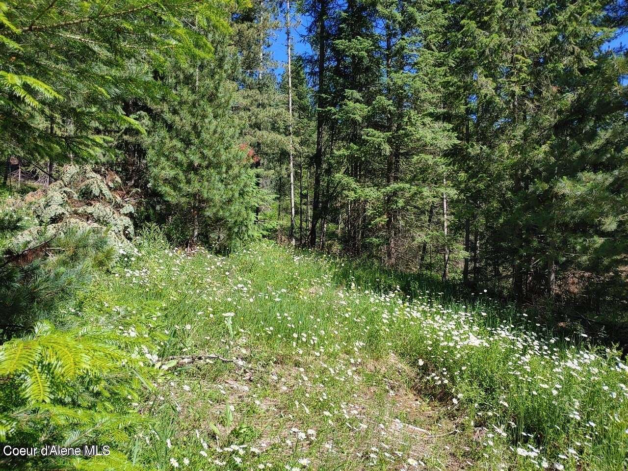 5 Acres of Residential Land for Sale in St. Maries, Idaho
