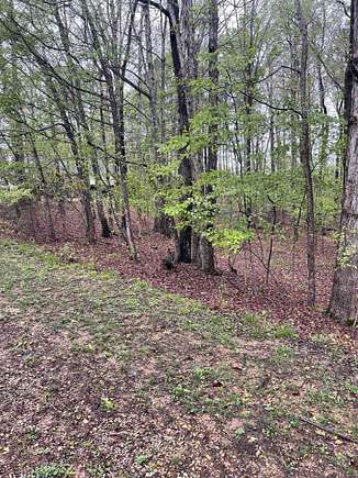 0.87 Acres of Residential Land for Sale in Counce, Tennessee